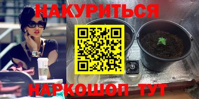 стаф Малоярославец