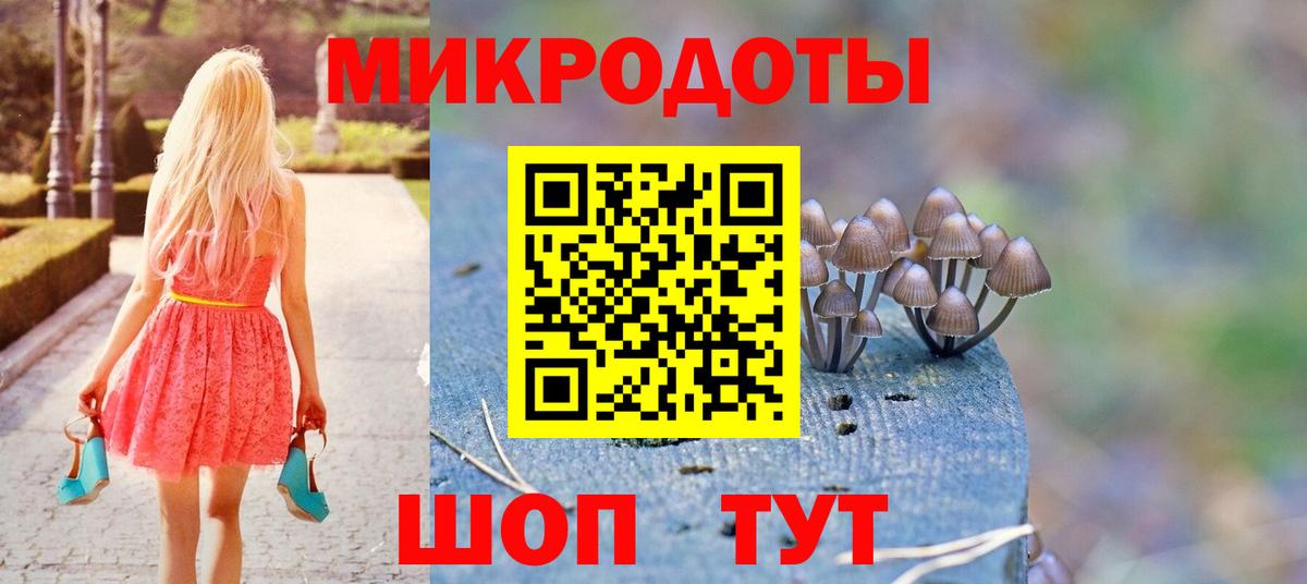 Галлюциногенные грибы Psilocybine cubensis Горячий Ключ